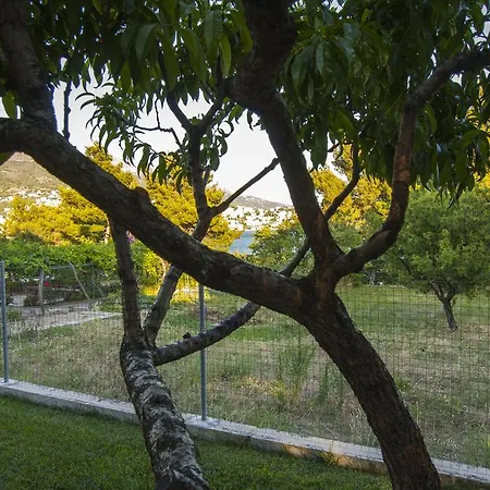 & Bruno ゲストハウス